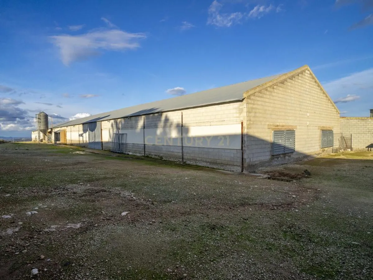 ## NAVES CON PARCELA N.:5935 (Precio: 985.000 Euro)