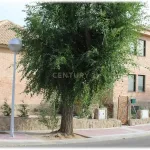 Residencia de Estudiantes – Pinares Llanos (Móstoles) 8