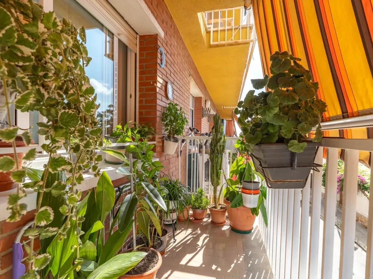 Amplio piso en pleno centro de Torredembarra