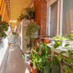 Amplio piso en pleno centro de Torredembarra 8