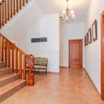 MAGNIFICA PROPIEDAD EN EL MISMO PUEBLO DE ALMUÑECAR 13