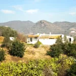 Finca rústica con terreno en Cártama, Málaga 1