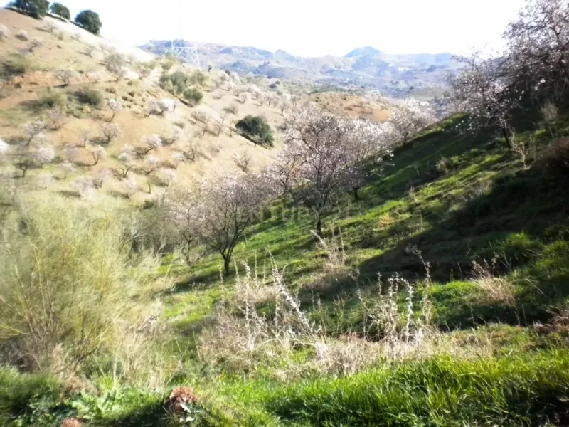 Finca rústica con terreno en Cártama, Málaga