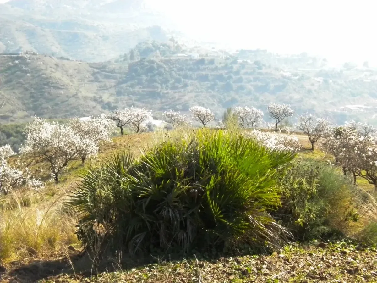 Finca rústica con terreno en Cártama, Málaga