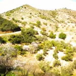 Finca rústica con terreno en Cártama, Málaga 15