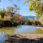 Cortijo histórico en explotación con alto caché turístico – Inversión premium en La Alpujarra Granadina 2