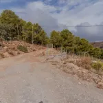 Finca rústica de 32.000 m² con cultivos tropicales en Gualchos 6