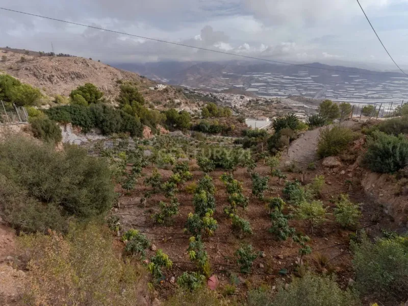Finca rústica de 32.000 m² con cultivos tropicales en Gualchos