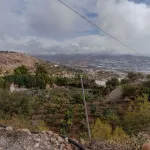 Finca rústica de 32.000 m² con cultivos tropicales en Gualchos 9