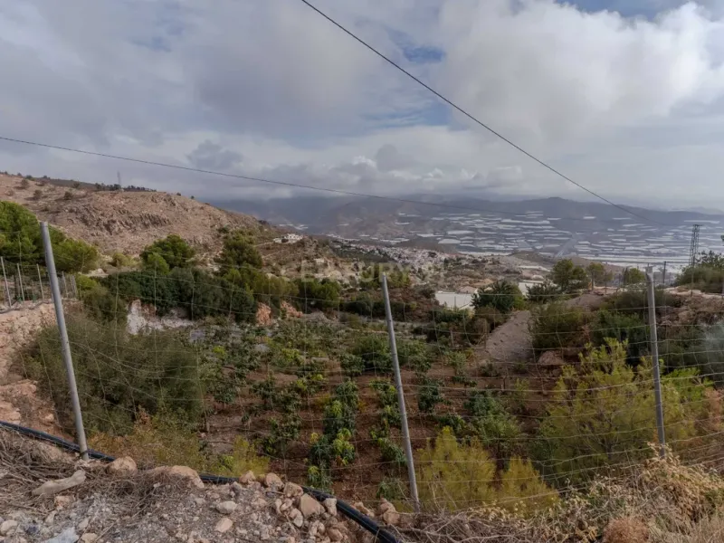 Finca rústica de 32.000 m² con cultivos tropicales en Gualchos