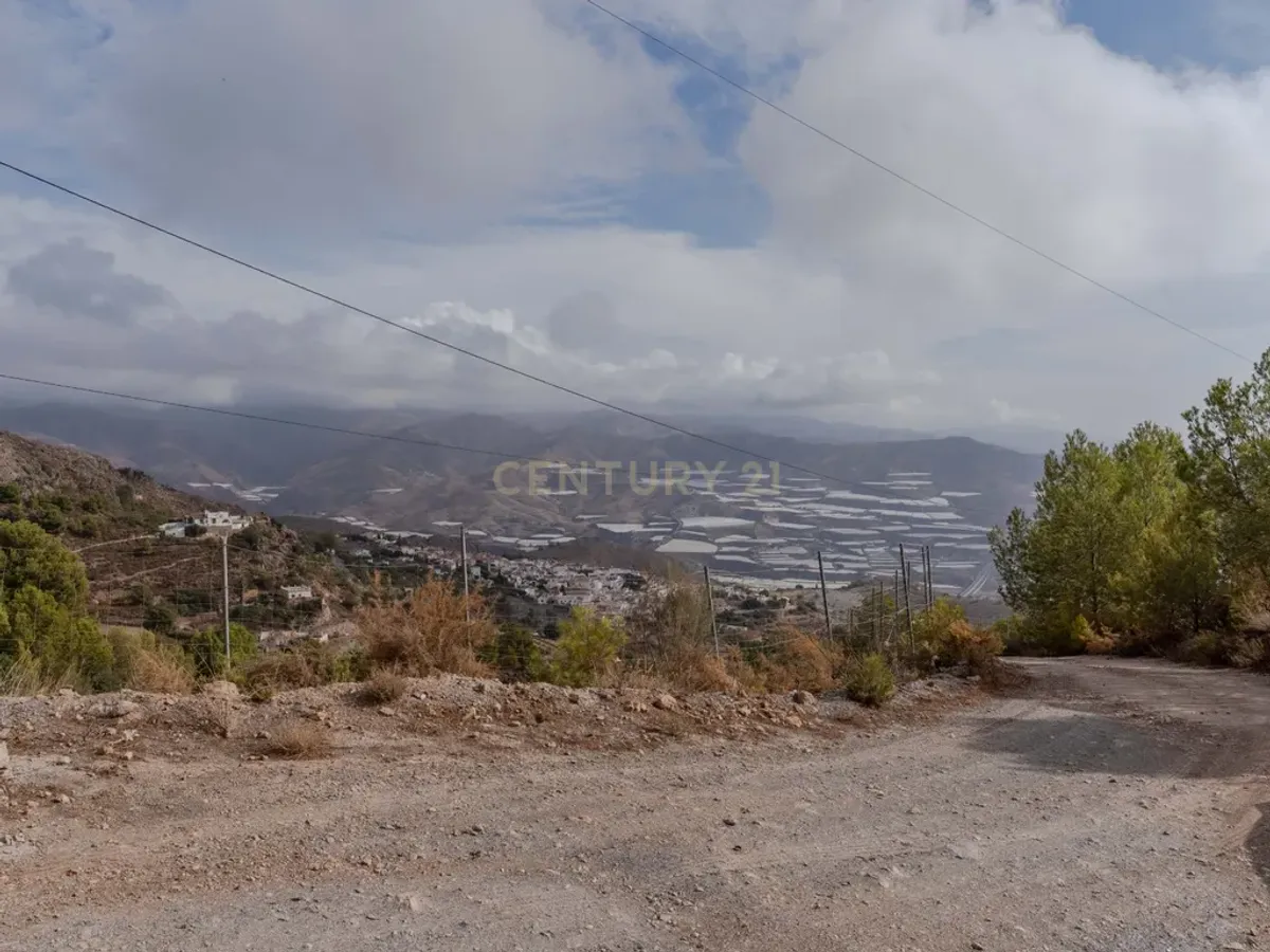 Finca rústica de 32.000 m² con cultivos tropicales en Gualchos