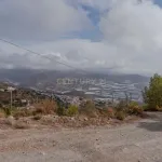 Finca rústica de 32.000 m² con cultivos tropicales en Gualchos 10