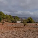 Finca rústica de 32.000 m² con cultivos tropicales en Gualchos 11