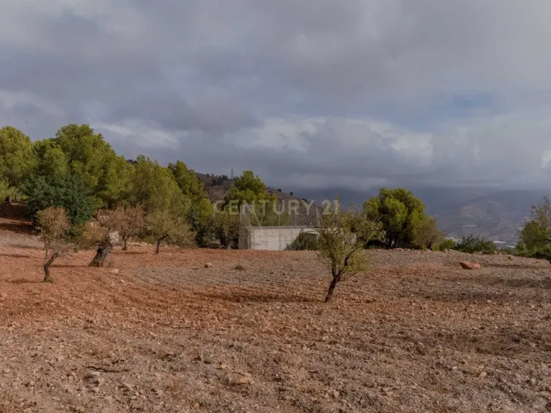 Finca rústica de 32.000 m² con cultivos tropicales en Gualchos