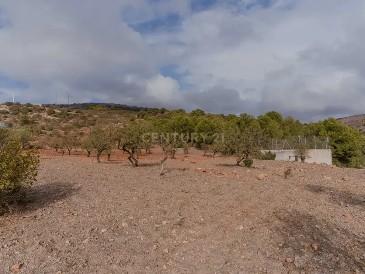 Finca rústica de 32.000 m² con cultivos tropicales en Gualchos