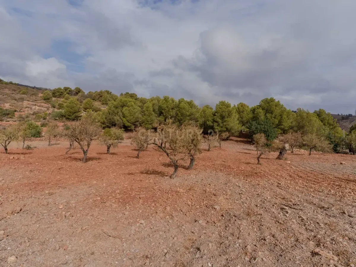 Finca rústica de 32.000 m² con cultivos tropicales en Gualchos