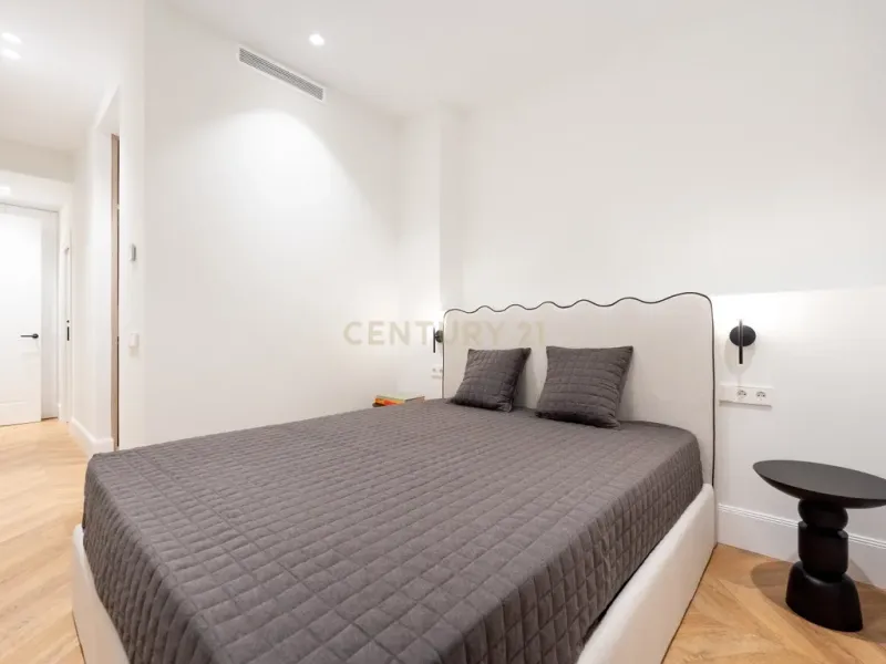 PISO REFORMADO Y AMUEBLADO JUNTO A PLAZA MARQUES DE SALAMANCA