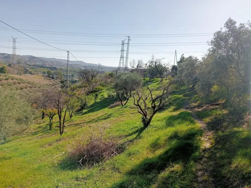 Exclusiva finca rústica con dos viviendas y vistas panorámicas en Estación de Cártama
