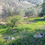 Exclusiva finca rústica con dos viviendas y vistas panorámicas en Estación de Cártama 12