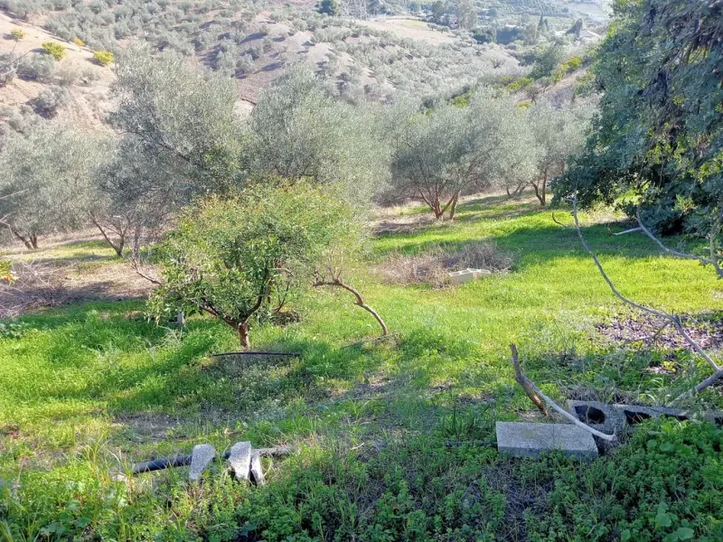 Exclusiva finca rústica con dos viviendas y vistas panorámicas en Estación de Cártama