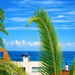 Estudio en el Hotel Galetamar de Calpe a pocos metros del mar – Ideal inversión o uso propio 2