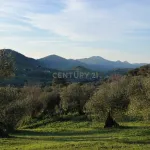 🌿 Finca con olivar en Zafra: 30.000 m² de terreno + casa 255 m² con piscina y dos porches 🏡☀️ 3