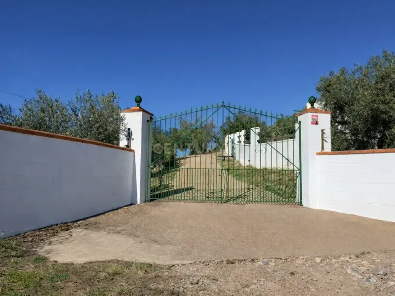 🌿 Finca con olivar en Zafra: 30.000 m² de terreno + casa 255 m² con piscina y dos porches 🏡☀️
