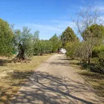 🌿 Finca con olivar en Zafra: 30.000 m² de terreno + casa 255 m² con piscina y dos porches 🏡☀️ 6