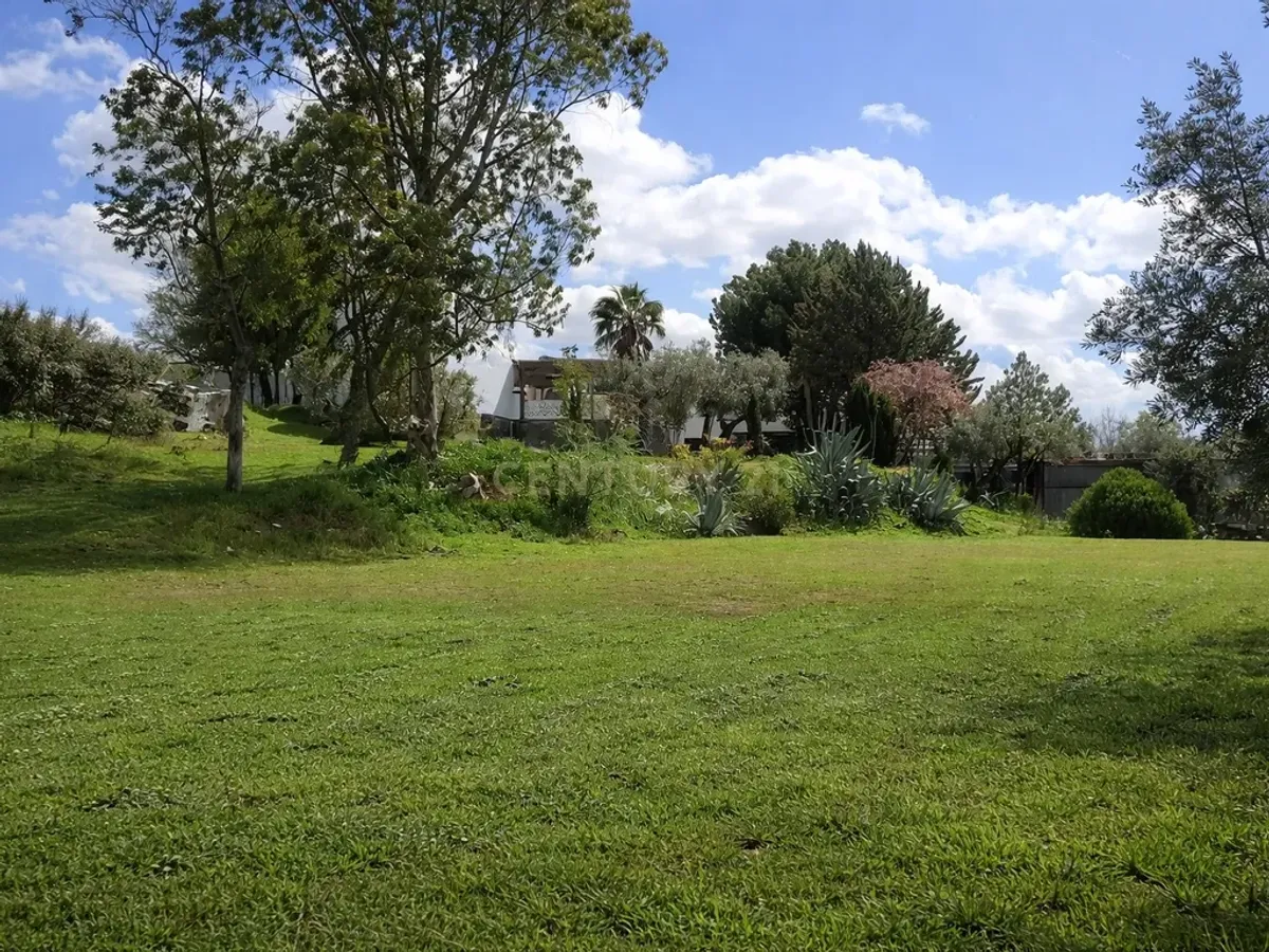 🌿 Finca con olivar en Zafra: 30.000 m² de terreno + casa 255 m² con piscina y dos porches 🏡☀️
