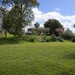 🌿 Finca con olivar en Zafra: 30.000 m² de terreno + casa 255 m² con piscina y dos porches 🏡☀️ 7