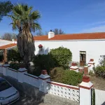 🌿 Finca con olivar en Zafra: 30.000 m² de terreno + casa 255 m² con piscina y dos porches 🏡☀️ 9