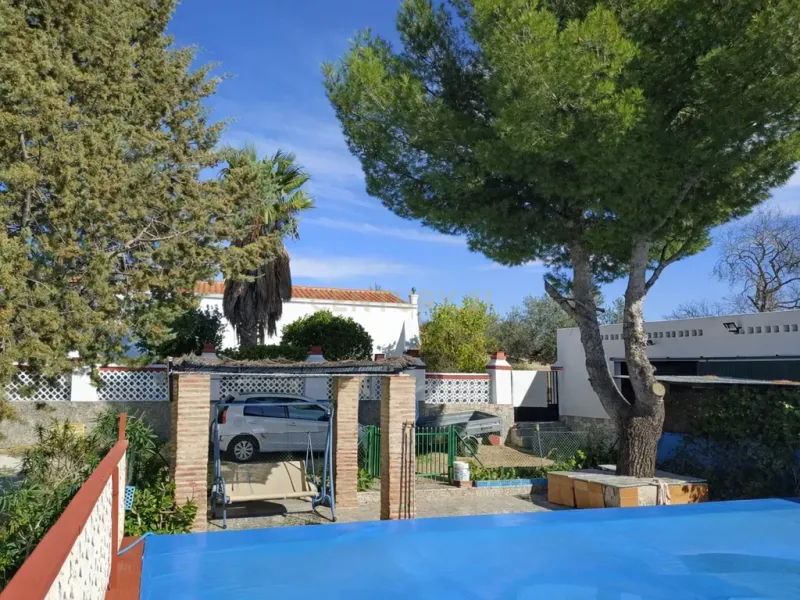 🌿 Finca con olivar en Zafra: 30.000 m² de terreno + casa 255 m² con piscina y dos porches 🏡☀️
