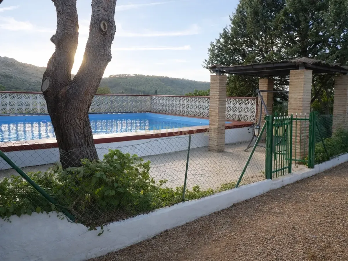 🌿 Finca con olivar en Zafra: 30.000 m² de terreno + casa 255 m² con piscina y dos porches 🏡☀️