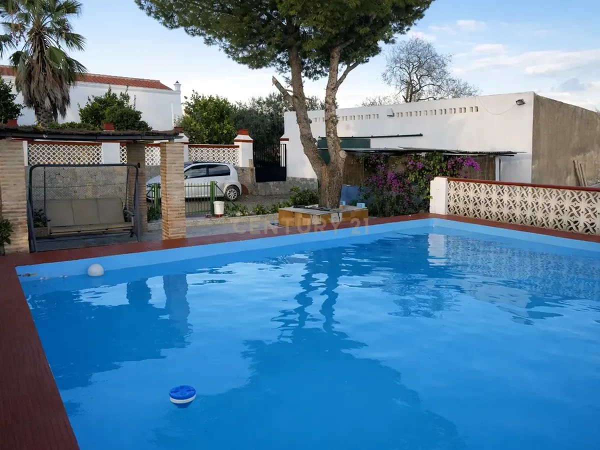 🌿 Finca con olivar en Zafra: 30.000 m² de terreno + casa 255 m² con piscina y dos porches 🏡☀️