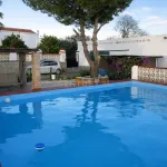 🌿 Finca con olivar en Zafra: 30.000 m² de terreno + casa 255 m² con piscina y dos porches 🏡☀️ 12