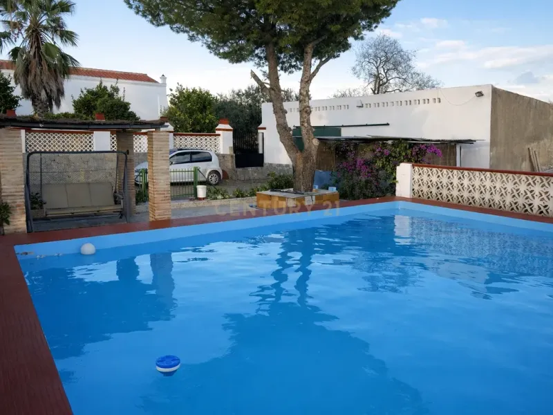 🌿 Finca con olivar en Zafra: 30.000 m² de terreno + casa 255 m² con piscina y dos porches 🏡☀️