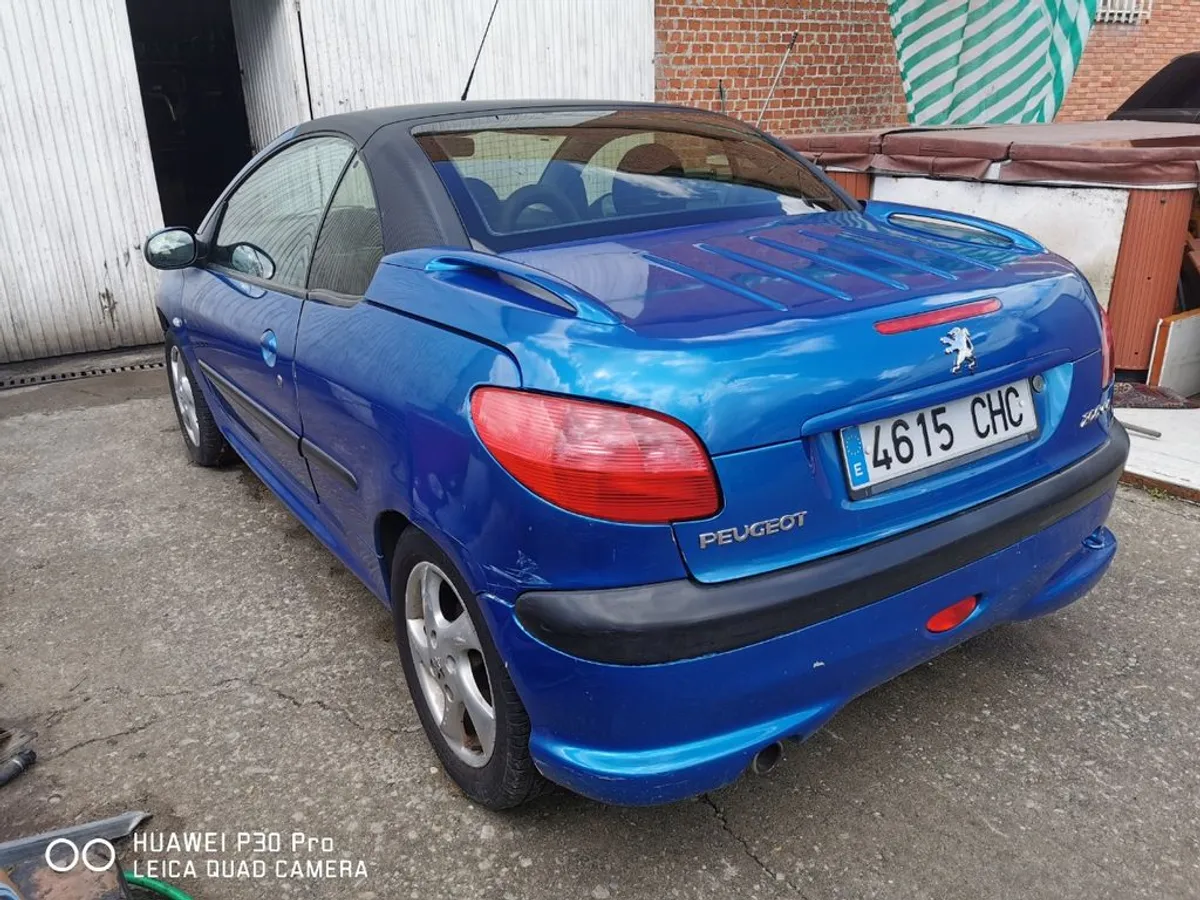 Peugeot 206 2004