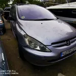 Peugeot 307 2005 1